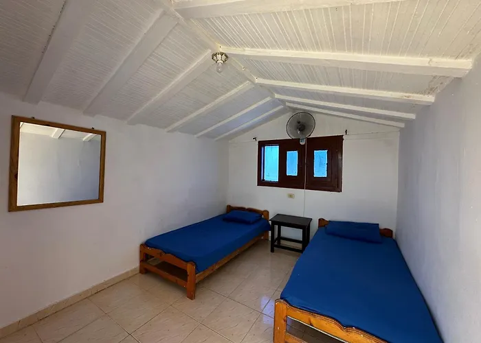 Seven Heaven And Diving Center